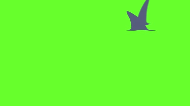 Анімація Школи Переслідування Акул Зеленому Екрані Анімація Голодних Хижаків Зміни — стокове відео