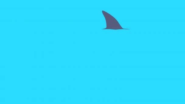 Μετάβαση Βίντεο Πτερύγιο Καρχαρία Μπλε Οθόνη Ιδέα Ενός Αρπακτικού Καταδιώκει — Αρχείο Βίντεο
