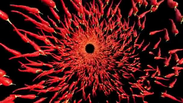 Tunel Ardei Iute Roșii Ecran Negru Animație Piperului Fierbinte Spațiu — Videoclip de stoc