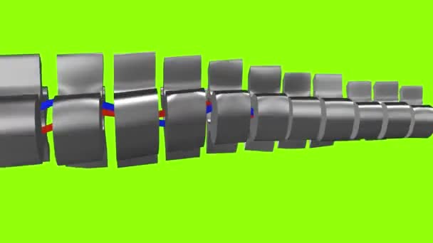 在绿色的屏幕上动画一个铁脊柱人 用4K的金属光泽旋转后脊 解剖学和医学概念与良好的骨骼健康 环行运动 — 图库视频影像