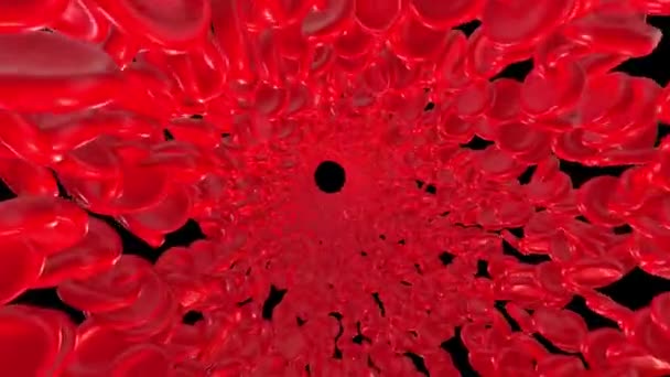 Туннель Красными Телами Черном Экране Анимация Вращающихся Красных Кровяных Телец — стоковое видео