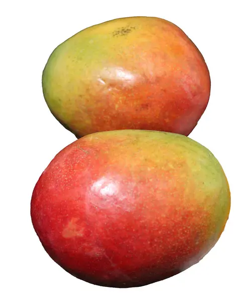 Beyaz arka planda 2 Mango. İyi kalite tatlı meyve stok fotoğrafı.