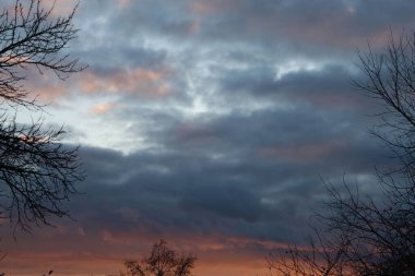 The sky is a canvas of dramatic colors at twilight, with swirling clouds illuminated by the setting sun, contrasting against the dark silhouettes of trees nearby. clipart