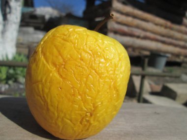 A colorful, wrinkled yellow fruit with an uneven texture sits on a weathered wooden table, basking in the warm sunlight, highlighting the imperfections and natural beauty of the fruit. clipart