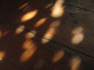 Sunlight streams through foliage, casting a mosaic of warm dappled patterns on a rustic wooden floor, enhancing the peaceful ambiance of the room during early afternoon. clipart