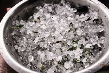 Metal bir kase fırtınadan sonra toplanan buzlu dolu topaklarıyla doludur. Buzun büyüklüğü değişiyor ve bazı yapraklar birbirine karışıyor. Bu da şiddetli hava koşullarının sonucunu vurguluyor..