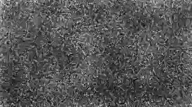 Yakın çekim, parazit gösteren bir televizyon ekranı gösteriyor. Statik, piksellerin klasik siyah ve beyaz modelidir..