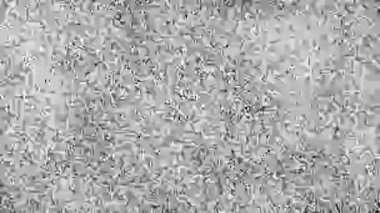 Bozuk ya da eski bir televizyonun tipik bir işareti olan karıncalı, statik bir televizyon ekranının yakın plan çekimi..