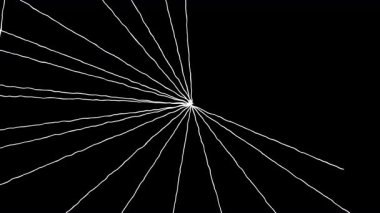 Siyah ekranda dönen ve şekillenen beyaz ağın 4K animasyonu. Cadılar Bayramı, gizem ve korku ile ilgili videolar için ideal.