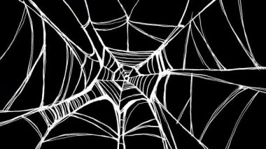 Siyah ekranda dönen beyaz örümcek ağı çizgi filmi. 4K 'de alfa ile el yapımı korku geçişi. Ürkütücü düzenlemeler ve korkunç sahne değişiklikleri için ideal..