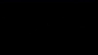 Siyah arka planda dönen bir kuş tüyünün doğrusal animasyonu. 4K ile alfa kanalını üst üste koymak için dinamik sanat efekti.