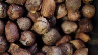 Sakin bir kırsal alanda, sonbahar mevsiminde fındık hasat edilir. İşçiler fındıkları dikkatlice toplayıp kaliteyi ve tazeliği sağlıyorlar. Süreç temizlik, sıralama ve