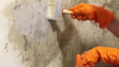 Bu ilgi çekici derste, bir insan bir duvarı hazırlamak ve boyamak için uygun tekniği gösterir. Bir fırça kullanarak ve koruyucu eldiven takarak, tamamlanmamış bir boyayı ustalıkla uyguluyorlar.