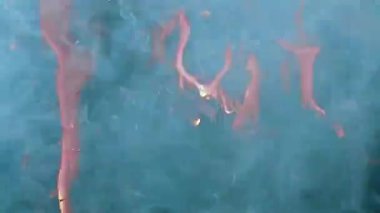 Alevlerin mavi dumanıyla yanan dallar. Full HD ile doğasında yangın olan stok videosu.