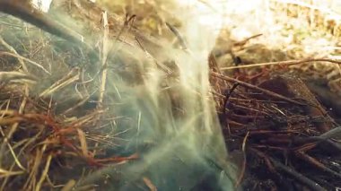 Duman bulutları doğadaki boşluğu dolduruyor. Ormanda yanan bir ateş. Kamp videolarının tamamı HD.