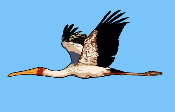 Vektorový Létající Pták White Crane Ilustrace — Stockový vektor