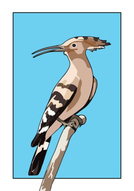 mavi arkaplan vektör illüstrasyonunda sıralanmış kuş (hoopoe).