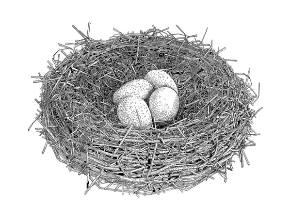Multiple Eggs Bird Nest Pen Ink Illustration — Stock Vector