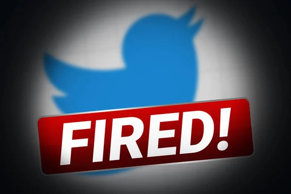 社交媒体平台Twitter用蓝鸟解雇员工的概念背景 并解雇了排版人员 — 图库照片