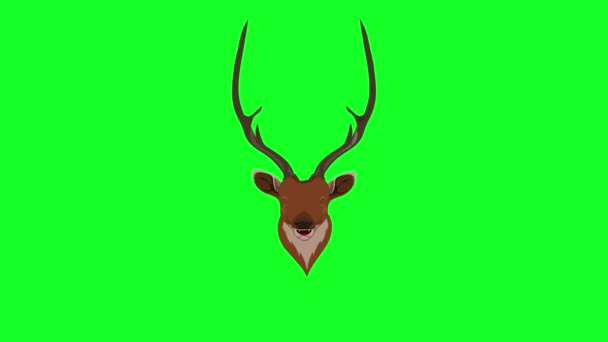 Red Deer Laughing Animation Seamless Loop Transparent Background Alpha Green — Stock Video