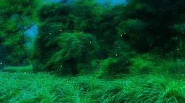 Kusursuz döngü lofi kavramı Yeşil Doğa Yüksek Çözünürlüklü Soğuk Esinti ve ağaçlarla