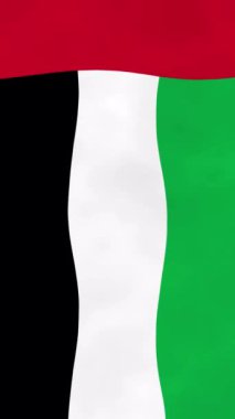 BAE 4K bayrağını ters düz sallıyor. BAE bayrağı sallanıyor