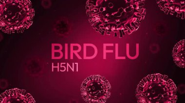 Kuş gribi H5N1 virüsü tipografi ve hareketli şekillerle endişe verici renkte, 4k animasyon. Virüs patlaması konsepti canlandırması