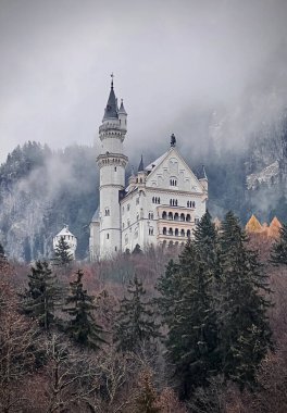 Neuschwanstein Castle in winter. Swan castle on the rock. Card. Photo clipart