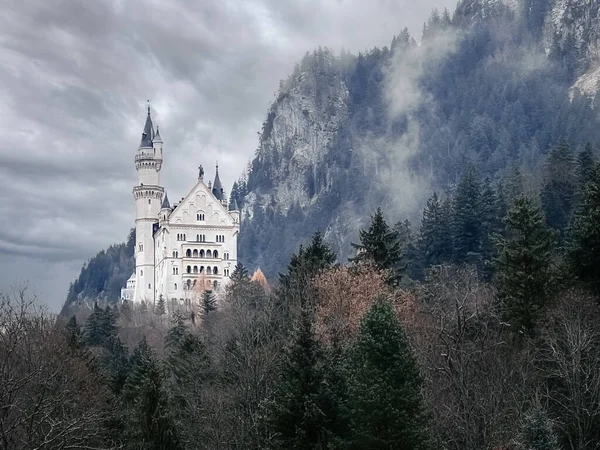 stock image Neuschwanstein Castle in winter. Swan castle on the rock. Card. Photo