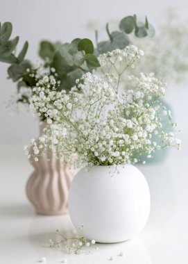 Beyaz bir vazoda bir buket beyaz küçük çiçek. Vazodaki çingene. Okaliptüs. Kart. Fotoğraf.