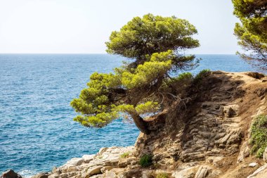 Deniz ve kayalık kıyılar. Güzel deniz manzarası. Fotoğraf.