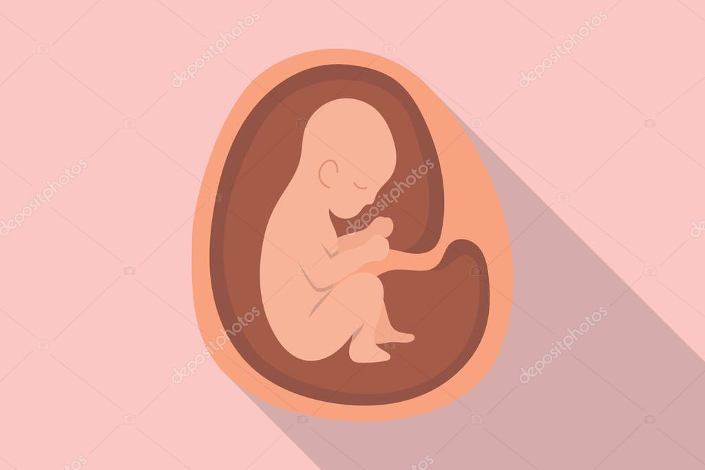 Baby womb embrio for pregnant or pregnancy with modern flat style and long shadow vector illustration