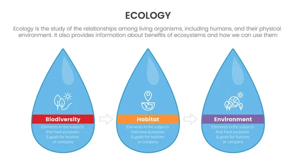 Ecología Naturaleza Ambiente Infografía Con Concepto Gota Agua Para Presentación — Vector de stock