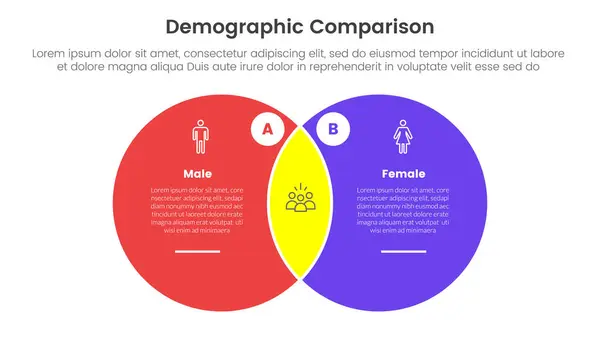Hombre Demográfico Mujer Concepto Comparación Para Banner Plantilla Infográfica Con Vectores de stock libres de derechos