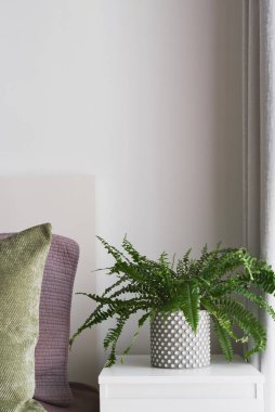 Minimum yatak odası dekoru: eğreltiotu saksısı ve yeşil ve mor renkli yastıklar olan beyaz komodin. İskandinavya 'dan esinlenerek iç mekan