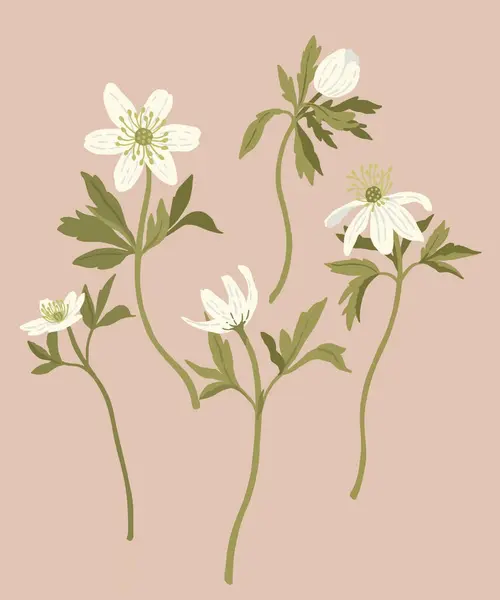 desenli çiçek desenli illüstrasyon kumaş tasarımı