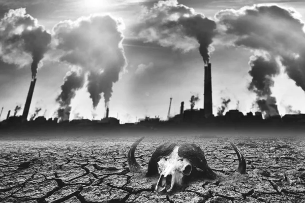 The concept of the effects of air pollution on living organisms. Industrial factory smoke makes the world hot and dry, animals die.