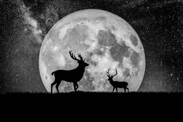 Night deer silhouette against the backdrop of a large moon element of the picture is decorated by NASA