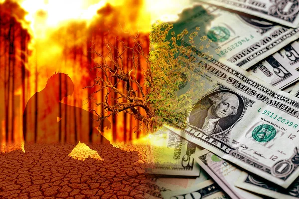 Deforestation destroys the environment for money. Capitalism Conflicts with Environmental Preservation