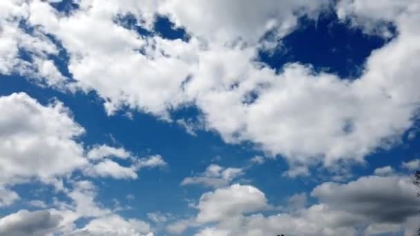 Time Lapse Βίντεο Ουρανό Και Σύννεφα Καλοκαίρι — Αρχείο Βίντεο