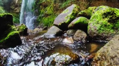 Yeşil bir ormandaki şelaleden akan bir su akıntısı. Doğadaki şelale, nemli tropikal ormanda.