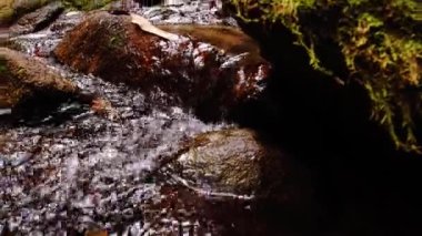 Yeşil bir ormandaki şelaleden akan bir su akıntısı. Doğadaki şelale, nemli tropikal ormanda.