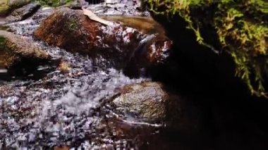 Yeşil bir ormandaki şelaleden akan bir su akıntısı. Doğadaki şelale, nemli tropikal ormanda.