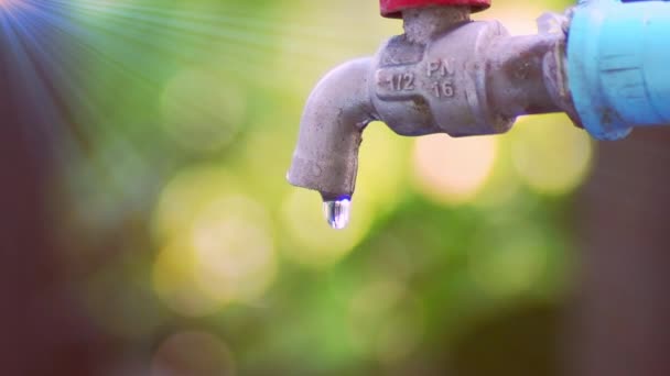 Vízválság Vízhiány Fogalma Közelkép Egy Csapról Ahol Nincs Víz — Stock videók