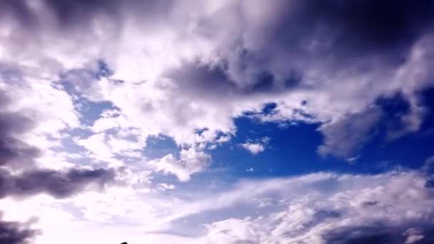 时间流逝的录像 天空和云彩在自然界中 — 图库视频影像