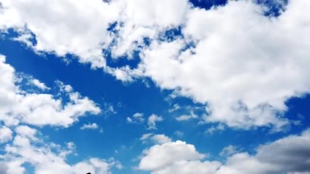 Zeitraffer Video Himmel Und Wolken Der Natur — Stockvideo