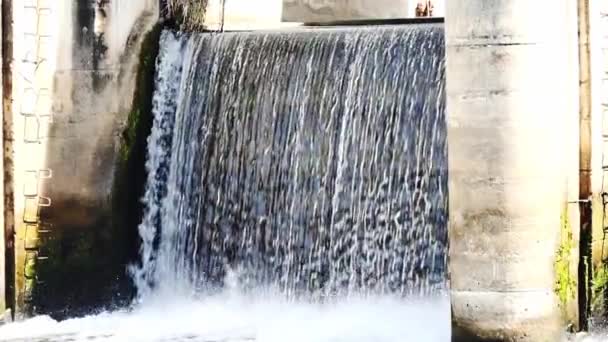 Small Rural Dam Used Store Water Use Dry Season — Vídeos de Stock
