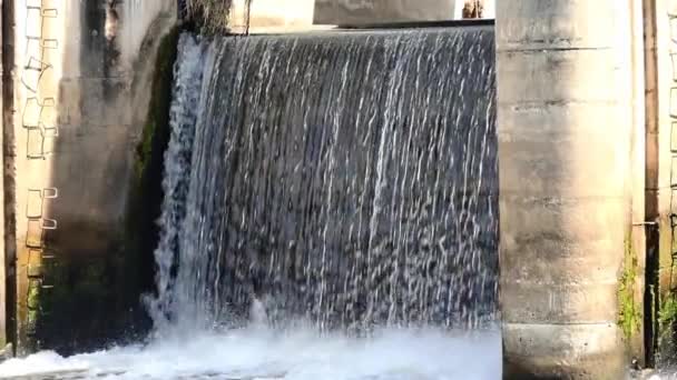 Small Rural Dam Used Store Water Use Dry Season — Video