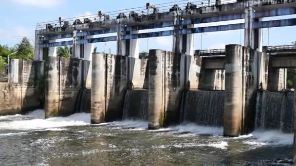Small Rural Dam Used Store Water Use Dry Season — Stock videók
