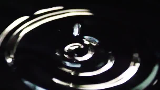 Movimento Lento Gotículas Água Superfície Água Fundo Preto — Vídeo de Stock